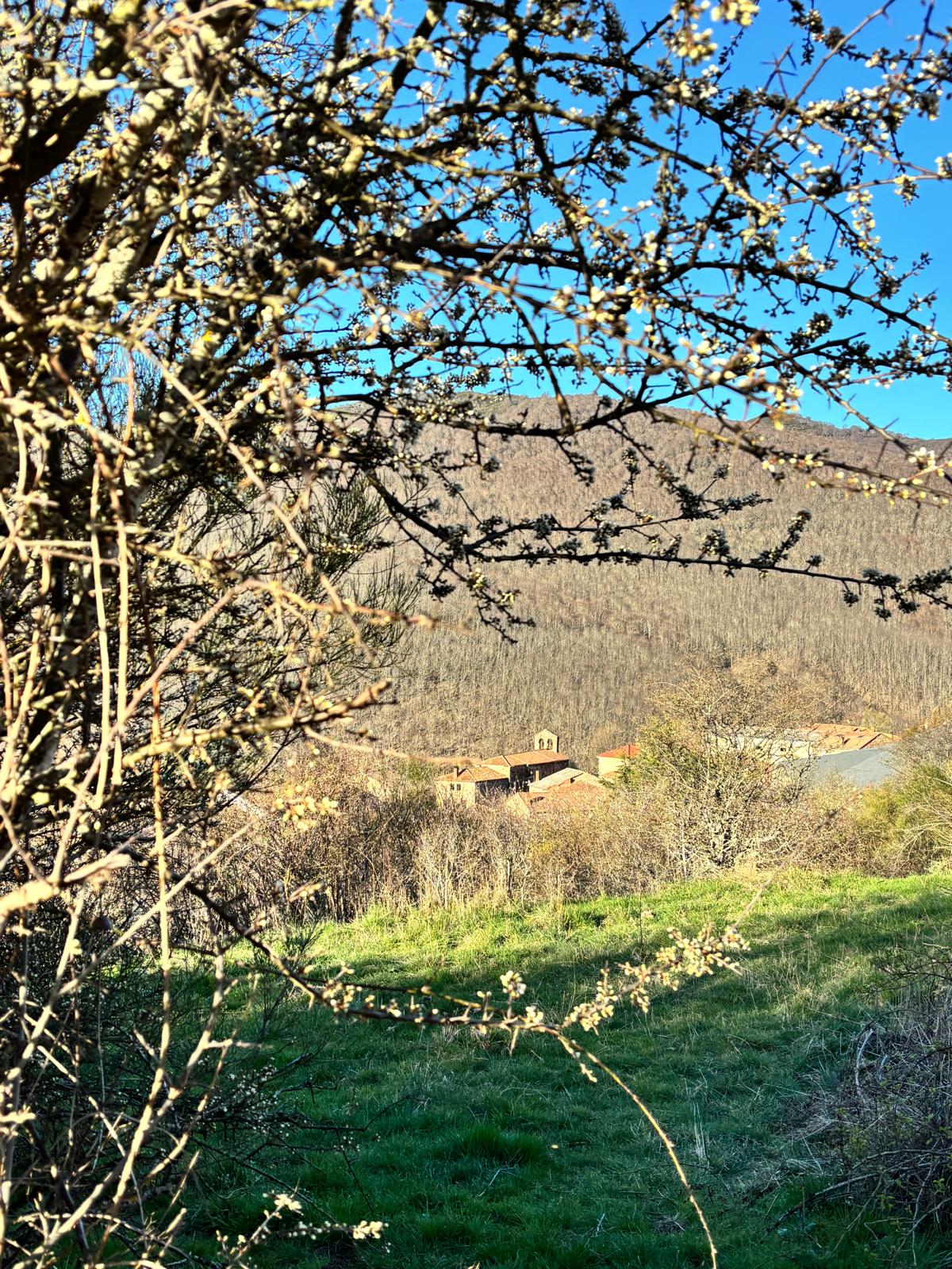 La Ermita de San Roque: El Balcón de Brañosera y el Refugio de la Fe