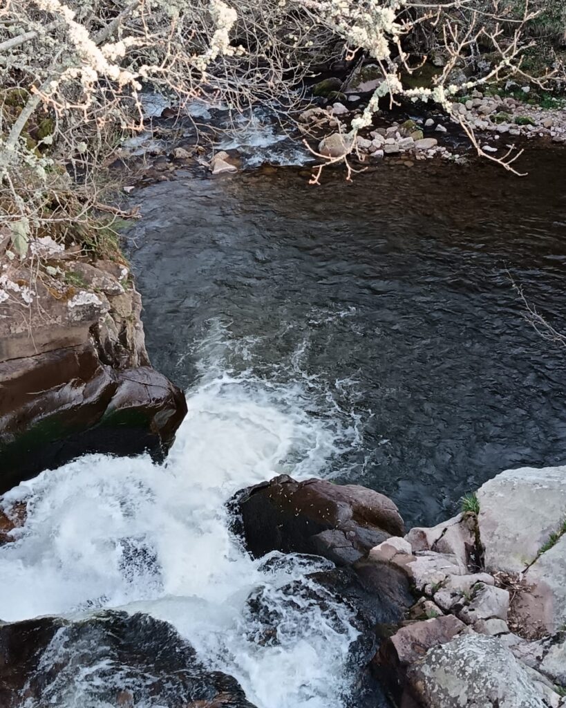 Brañosera: Donde el Rubagón se hace leyenda en el Pozo de la Aceña
Hay lugares donde la geografía y las palabras se funden para contarnos quiénes somos. En Brañosera, ese relato lo escribe el Río Rubagón, un cauce que no solo transporta agua, sino la memoria viva de la Montaña Palentina.