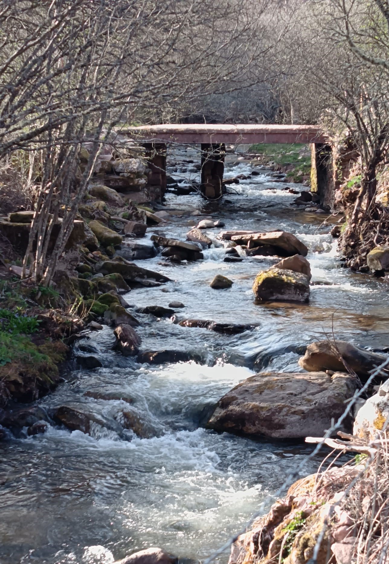 El Rubagón y el Pozo de la Ceña: Agua, Historia y Etimología de Brañosera